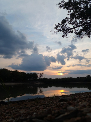 Fazenda Paraiso Dos Pescadores 47,600ha Rio Do Peixe C/ Rio Araguaia - Viuva - Nova Crixas - Go