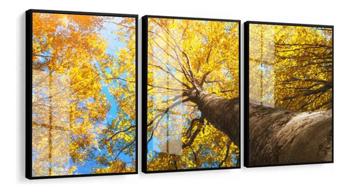 Quadros Decorativos Árvore Ipê Amarelo Paisagem 60x80  Vidro