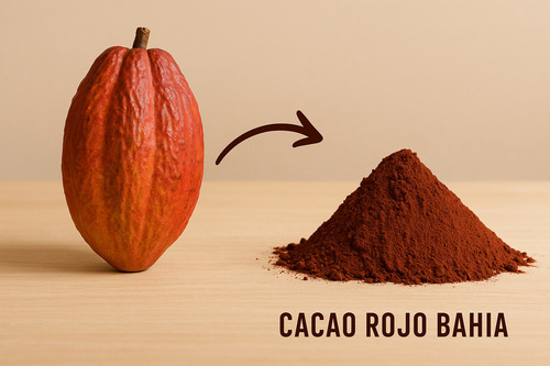 Cacao Rojo Bahia Alcalino 1 Kilo