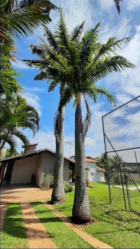 Chácara À Venda, 3420 M² Por R$ 1.800.000,00 - Cafezal V - Itupeva/sp - Ch0197