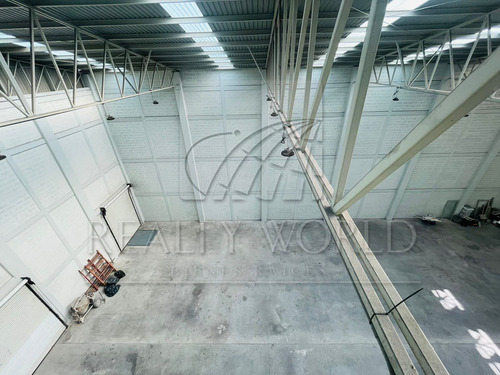 Bodegas En Renta En Industrial Nogalar