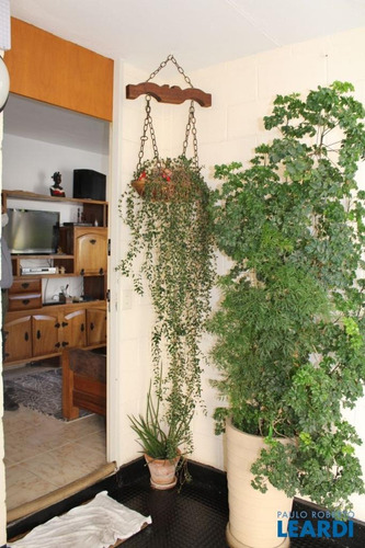 Imagem 3 de 15 de Apartamento - Santana - Sp - 611469