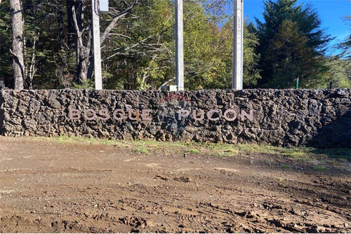 Venta Parcela Bosque Pucón