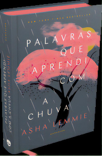 Palavras que Aprendi com a Chuva, de Asha Lemmie. Editora Darkside, capa dura em português