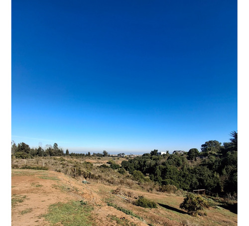 Lomas De Mantagua Parcela 5000 Metros Bungalow 4d 2b