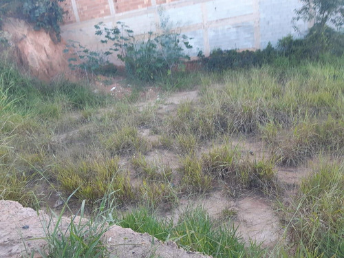 Imagem 6 de 15 de Lote Para Venda Em Ribeirão Das Neves, San Marino - L53_1-1439550