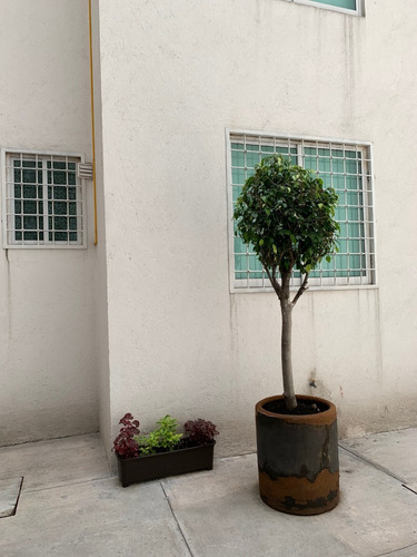 Imagen 12 de 14 de Hermoso Departamento En Venta Palmerales