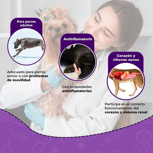 Complete Mobility Perros C/condroitina Y Glucosamina 60 Tab
