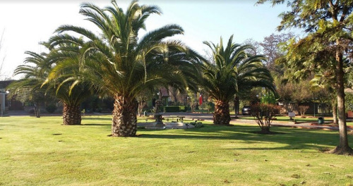 Parcela Con Centro Recreacional Funcionando - Usares De La M