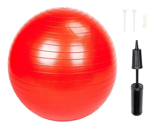 Imagen 2 de 7 de Inflador Para Pelotas Yoga Esferodinamia Semi Esferas Bosu