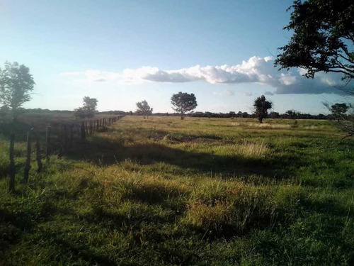 Imagen 10 de 26 de Finca En Venta ,calabozo Guarda Tinajas