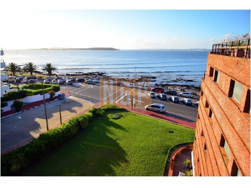 Apartamento En Peninsula, 3 Dormitorios *-ref:16716