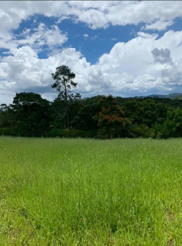 Imagem 13 de 13 de 16- Lotes Com Ótimo Acesso,vista,e Escritura Individualizada