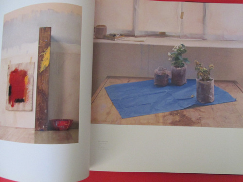 Imponente Libro Pintor Chileno Ricardo Maffei 2010 Mu Escaso (Usado)