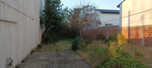 Imagen 5 de 10 de Lote En Mar De Ajo