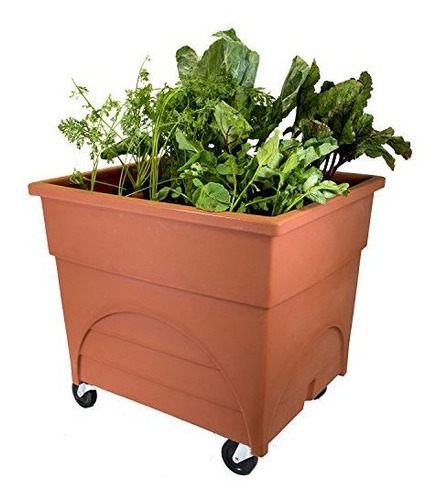 Emsco Group 2361d City Pickers Root Vegetable Raised Bed Gro