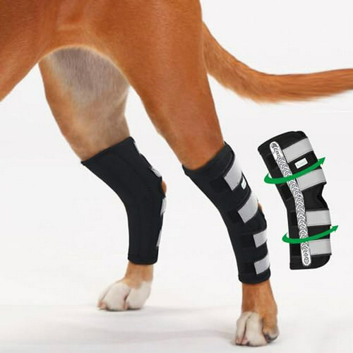 Protector De Articulaciones Para Patas Traseras De Perro