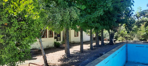 Venta De Parcela En Villa Alegre (172426)