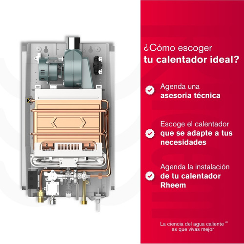 Calentador De Agua 12lt Gas Propano Tiro Forzado Rheem