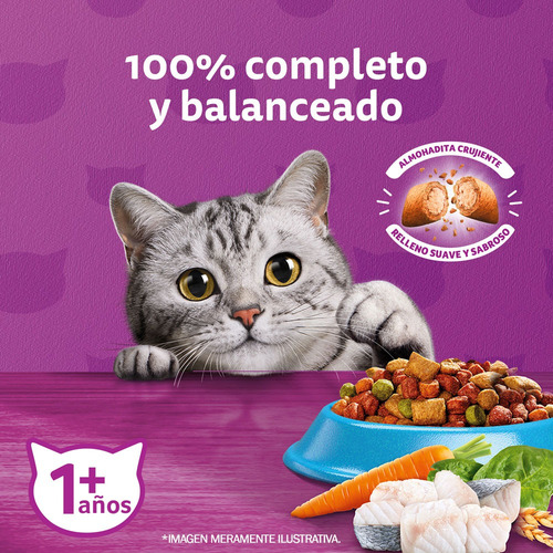 Imagen 8 de 11 de Whiskas Alimento Seco Para Gato Adulto Sabor Pescado 10kg