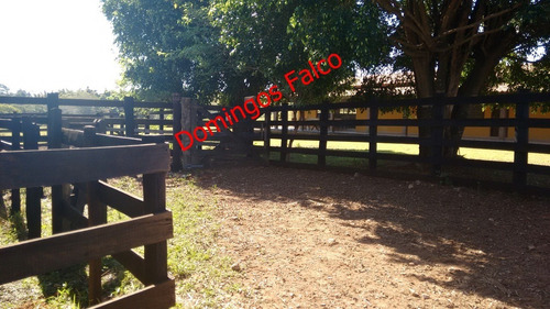 Venda - Fazenda - Zona Rural - Águas De Lindóia - Sp - D0336