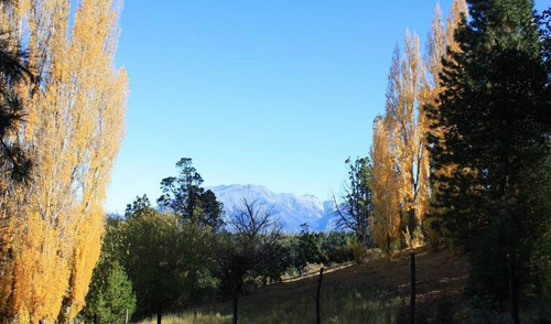 Imagen 10 de 22 de Campo Chubut (chacra) - 27 Hectáreas