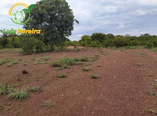 Imagem 10 de 15 de Fazenda À Venda Em Fátima - To - De 62 Alqueirões (dupla Aptidão) - 1786