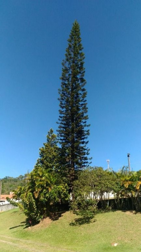 Imagem 12 de 30 de Chácara À Venda, 3184 M² Por R$ 1.150.000 - Loteamento Morada Alta - Jarinu/sp - Ch0250