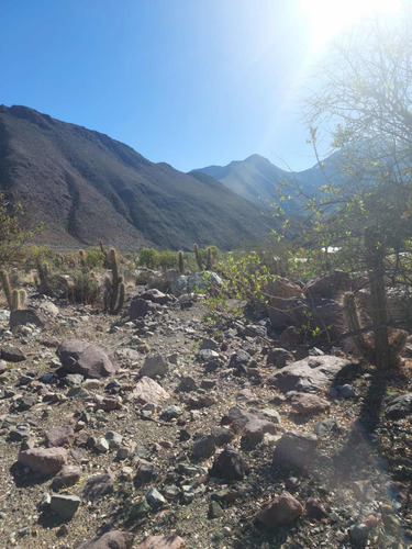 Venta Sitio En Vicuña Valle De Elqui