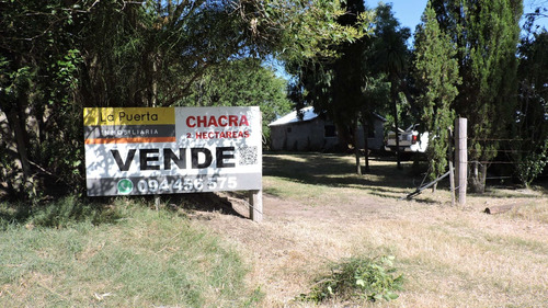 Venta De Chacra De 2há En Los Pinos-colonia. Ref: 640.