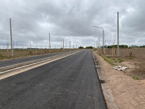 Vendo Lotes En Barrio Ecovida. Desde 300 M2. Ultimos Disponibles. Cerca De Rosario