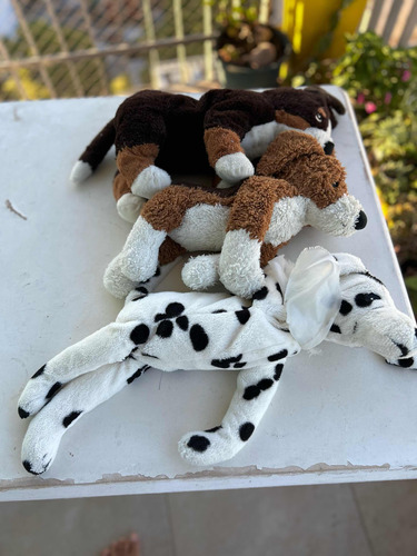 3 Peluches Perros