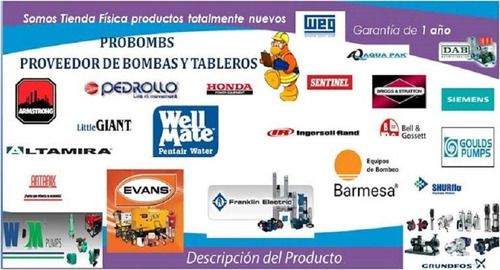 Hidroneumatico Pedrollo 100 Litros