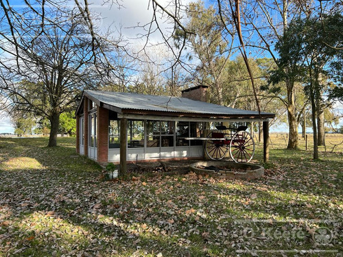100 Has En Venta Punta Indio - Excelente Acceso - Ideal Haras!