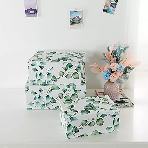 Soul & Lane Cajas de cartón decorativas con tapas para decoración del  hogar, ramitas verdes, juego de 3: cajas de regalo grandes para anidar,  bonitas