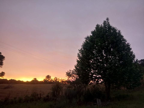 Imagem 4 de 12 de Terreno Agriculturável. Possui Um Posso Semi Artesiano