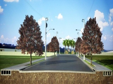 Imagem 4 de 12 de Venda Terreno Industrial Nova Odessa - Te00989 - 2110831