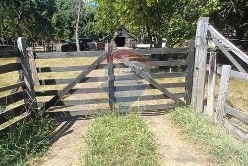 Venta Parcela De Campo Catripulli, Curarrehue