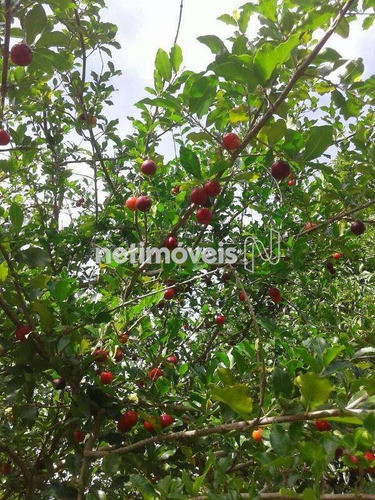 Imagem 6 de 29 de Venda Chácara Zona Rural Conceição Do Pará - 875793