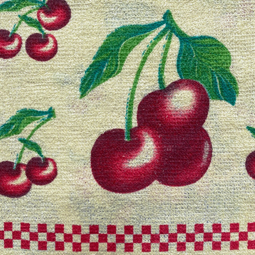 Docena Repasadores Súper Absorbente Grande Frutas Lichytex
