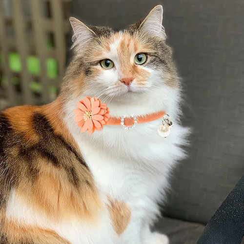 Flystar Cat Collar Breakaway With Bells - Cute Flower Rhines