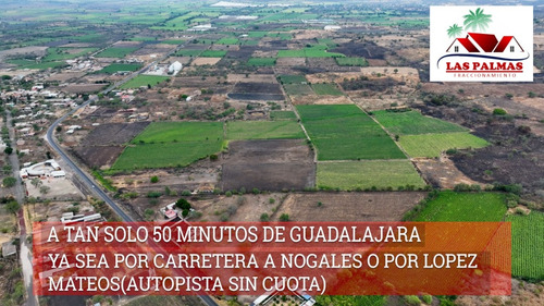 Terrenos En Zona Villa Corona Y Cocula