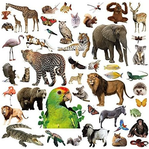 Vinilo Para Botella Jungle Animal Stickers 400 Safari Animal