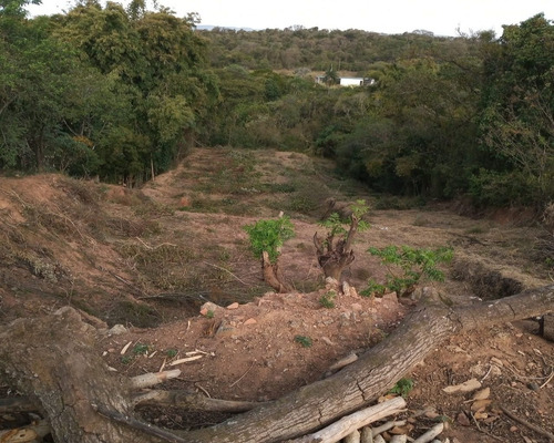 Imagem 2 de 4 de Terreno Industrial - Ti00008 - 68690611