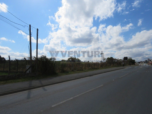 Imagem 2 de 15 de Area - Centro - Ref: 2404 - V-2404