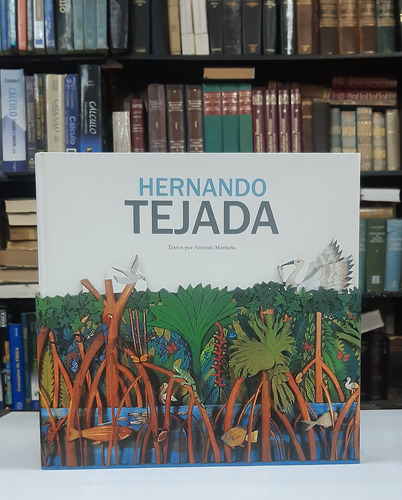 Hernando Tejada Textos Por Antonio Montaña