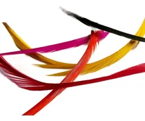 Comprar Combo Plumas Goose Biots. Plumas De Ganso. Atado De Moscas. 