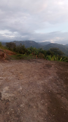 Venta Lote En San Peregrino, Manizales