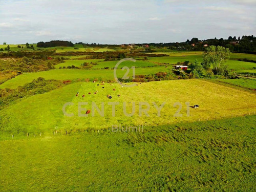 Terreno, Puerto Varas, 10 Hectáreas