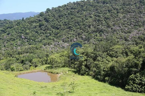 Imagem 8 de 17 de Fazenda Bom Sucesso, Sj Campos - Fa0001